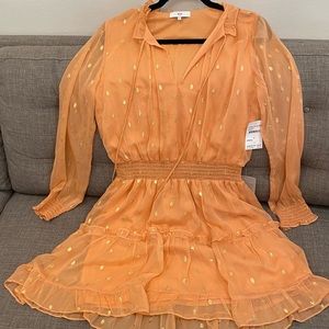 NSR Women’s Dress, Size Medium